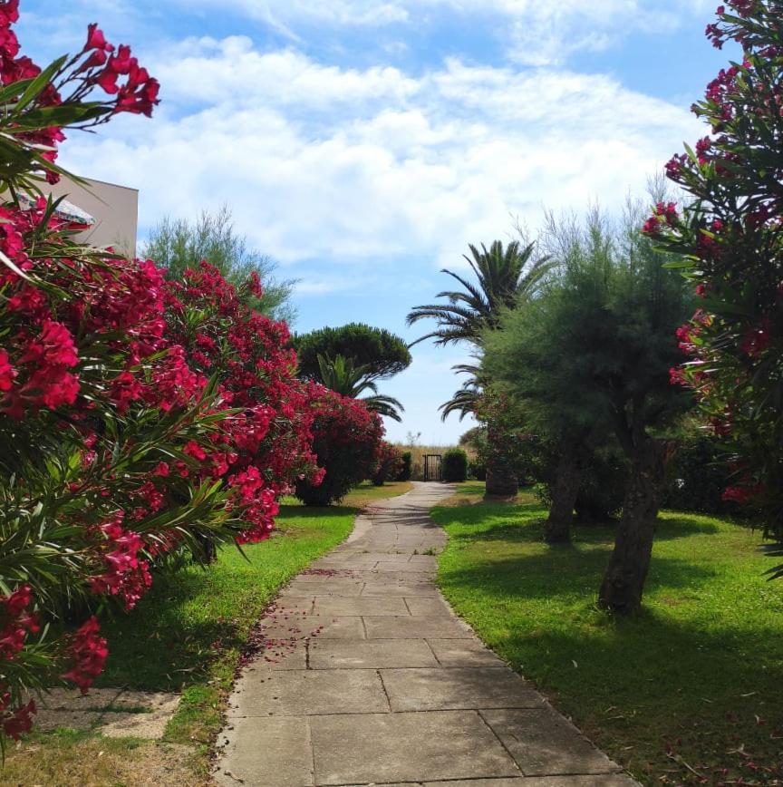 Les Capitelles 5 - Acces Direct A La Plage Depuis Le Jardin - T2 Avec Cabine - 6 Pers - Jardin - Piscine - Parking سان سيبريان المظهر الخارجي الصورة